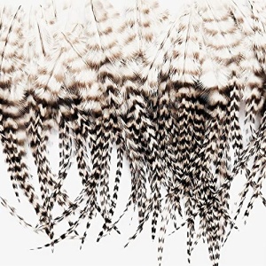 Bulk Feathers, 100% Real Rooster Feathers